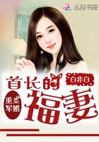 满清奇案
