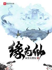 两个确立分别是什么
