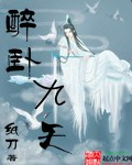 金瓶双艳在线