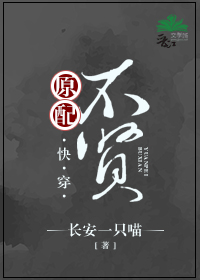 有字幕的土耳其电视剧