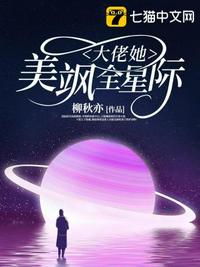 车上激情(H)小说