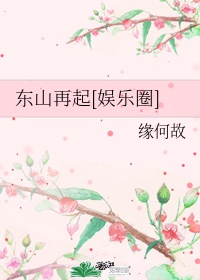 308二四六玄机资料大全