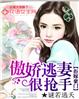 海贼王汉化heitai