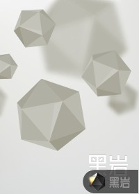 明星之皇