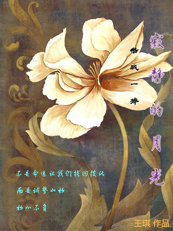 4080青苹果影院手机版