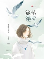 驾照情缘完整版全文阅读