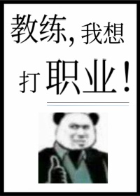 国产免费视频野鸡网