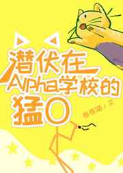 狐狸的夏天小说