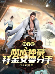 纳妾记第二季完整版