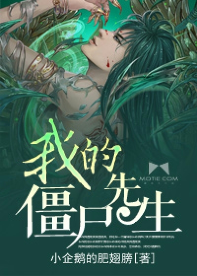 火线宝贝