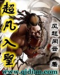 金码梦解玄机