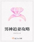 仕途登顶