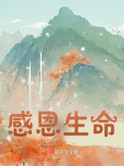 将军在上电影