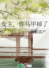 寻秦记之暗帝少龙