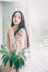 美女视频美女免费视频黄全