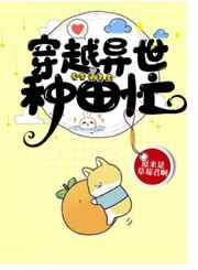 免费体验区完整版