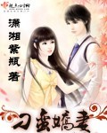 开车视频下载安装无限看视频下载