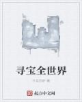 海贼王里番