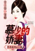我的绝色总裁老婆电视剧