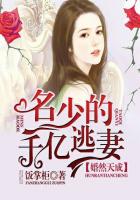 激情小说视频图片