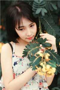 玉普团之愉情宝鉴