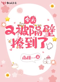 gogo全球高清专业摄像机