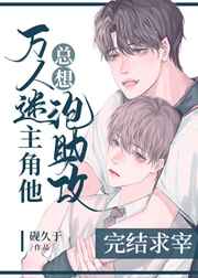 ckplayer资源