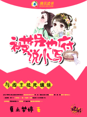 过膝袜绝对领域