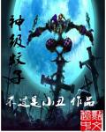 波兰性博览会视频