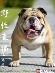 日本理论电影在线观看