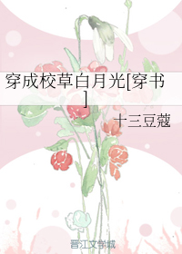 姐姐快长大小说