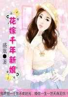 掌中之物txt下载