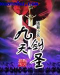 飞速中文网