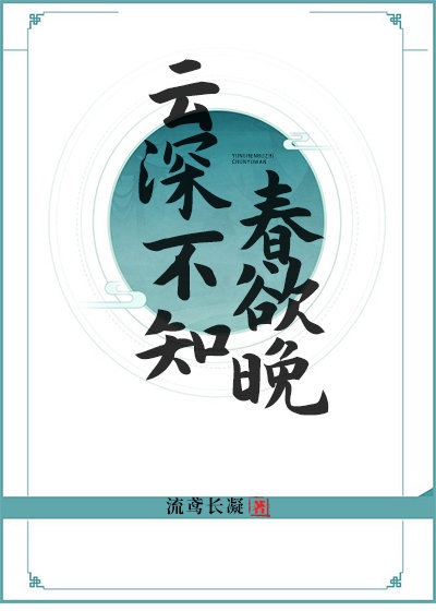 我妻子的客人电影
