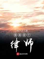 耽美cc网