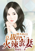 猎艳都市美女艳妇小说