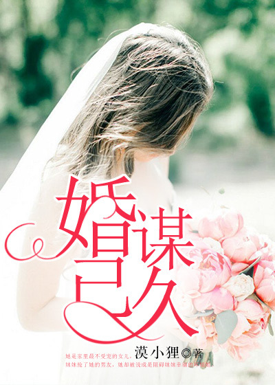 2024版红楼梦