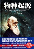 美国式禁忌xxxx