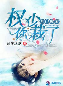 网店软件