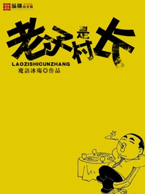 风鹰侠