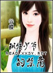 电视剧穆桂英挂帅