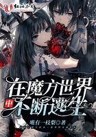 猫宫