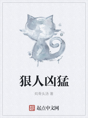 观看B站的广告网站平台