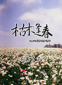 销魂淑女