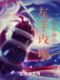 绝对双刃第二季