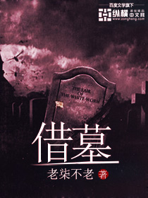 旋风少女第2季