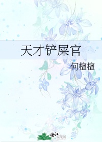 成年人看视频