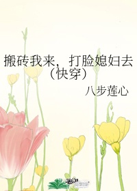 西红柿首富免费完整版8