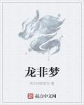 黑道风云二十年小说