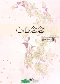 美女宝典小说